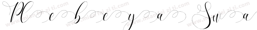 Plebeya Swash 4字体转换